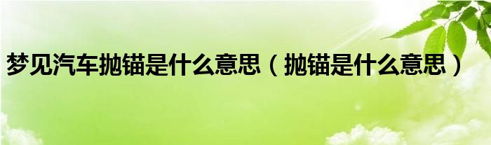 梦见汽车抛锚是什么意思（抛锚是什么意思）