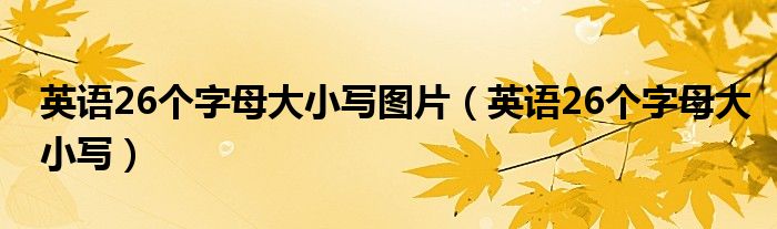 英语26个字母大小写图片（英语26个字母大小写）