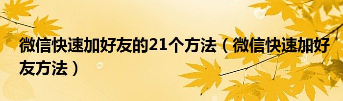 微信快速加好友的21个方法（微信快速加好友方法）