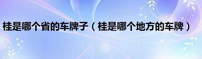 桂是哪个省的车牌子（桂是哪个地方的车牌）