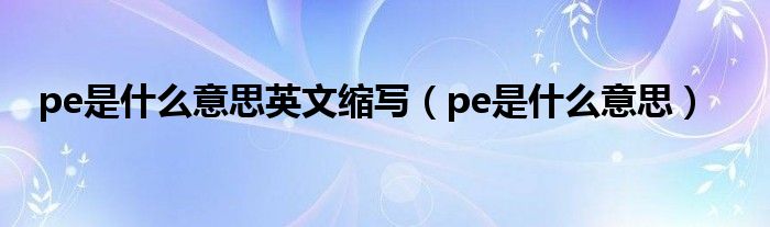 pe是什么意思英文缩写（pe是什么意思）