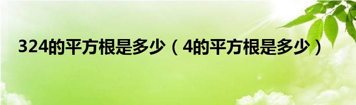 324的平方根是多少（4的平方根是多少）