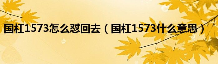 国杠1573怎么怼回去（国杠1573什么意思）