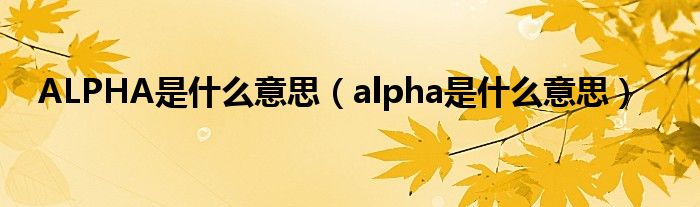 ALPHA是什么意思（alpha是什么意思）