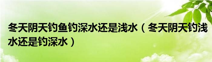 冬天阴天钓鱼钓深水还是浅水（冬天阴天钓浅水还是钓深水）