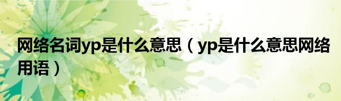 网络名词yp是什么意思（yp是什么意思网络用语）