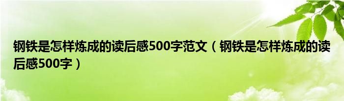 钢铁是怎样炼成的读后感500字范文（钢铁是怎样炼成的读后感500字）