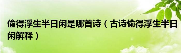 偷得浮生半日闲是哪首诗（古诗偷得浮生半日闲解释）