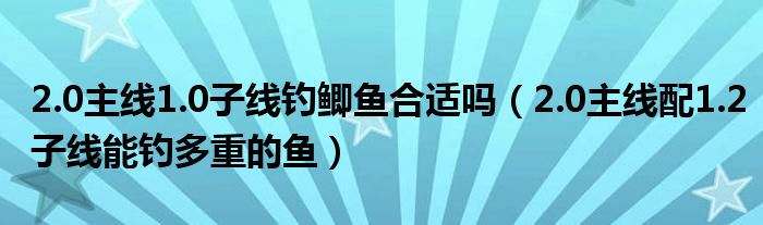 2.0主线1.0子线钓鲫鱼合适吗（2.0主线配1.2子线能钓多重的鱼）