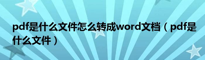 pdf是什么文件怎么转成word文档（pdf是什么文件）