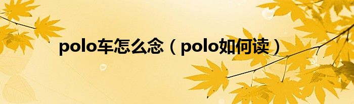 polo车怎么念（polo如何读）