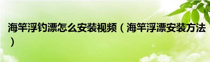 海竿浮钓漂怎么安装视频（海竿浮漂安装方法）