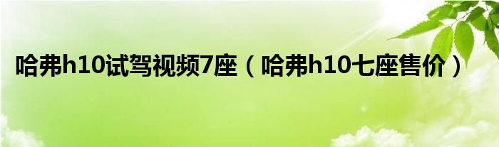 哈弗h10试驾视频7座（哈弗h10七座售价）