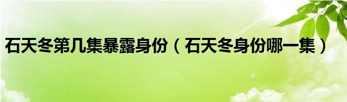 石天冬第几集暴露身份（石天冬身份哪一集）