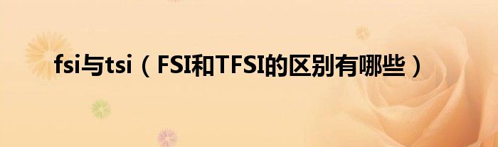 fsi与tsi（FSI和TFSI的区别有哪些）