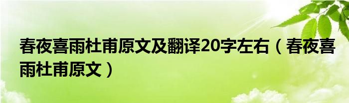 春夜喜雨杜甫原文及翻译20字左右（春夜喜雨杜甫原文）