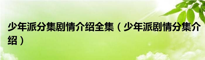 少年派分集剧情介绍全集（少年派剧情分集介绍）