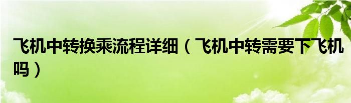 飞机中转换乘流程详细（飞机中转需要下飞机吗）