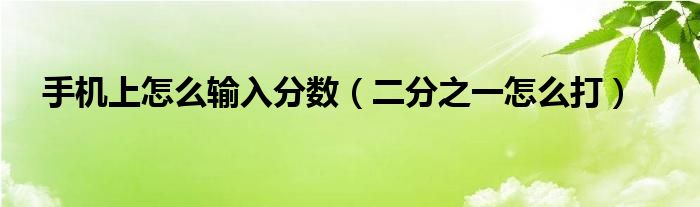 手机上怎么输入分数（二分之一怎么打）