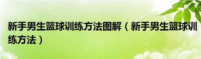 新手男生篮球训练方法图解（新手男生篮球训练方法）