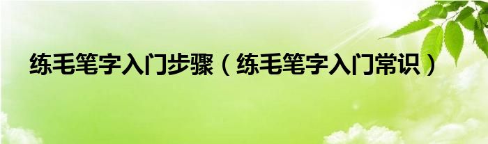 练毛笔字入门步骤（练毛笔字入门常识）