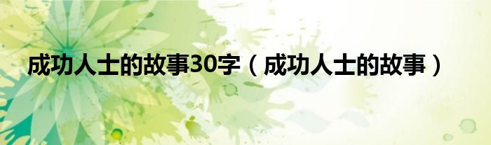 成功人士的故事30字（成功人士的故事）