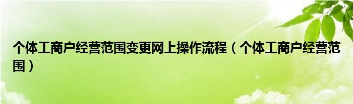 个体工商户经营范围变更网上操作流程（个体工商户经营范围）