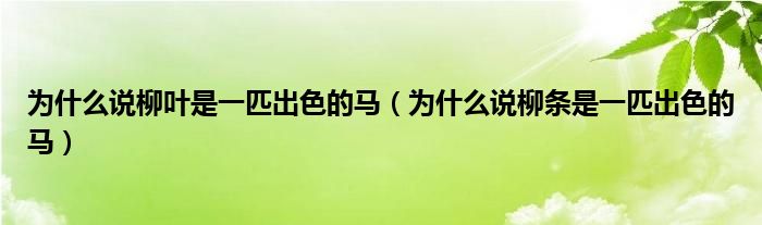 为什么说柳叶是一匹出色的马（为什么说柳条是一匹出色的马）