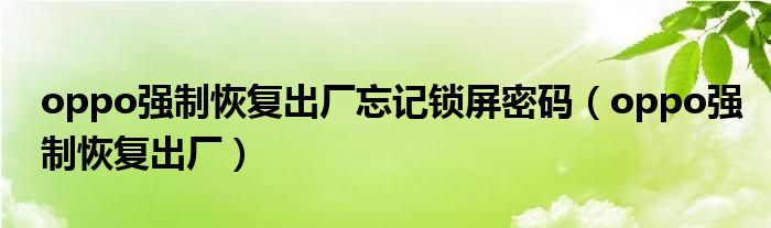 oppo强制恢复出厂忘记锁屏密码（oppo强制恢复出厂）