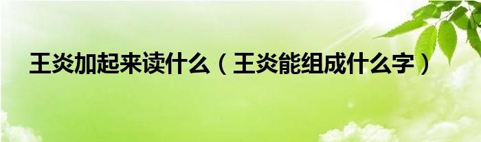 王炎加起来读什么（王炎能组成什么字）