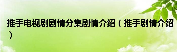 推手电视剧剧情分集剧情介绍（推手剧情介绍）