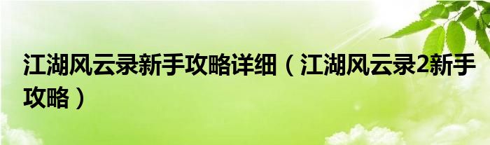 江湖风云录新手攻略详细（江湖风云录2新手攻略）