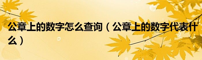 公章上的数字怎么查询（公章上的数字代表什么）