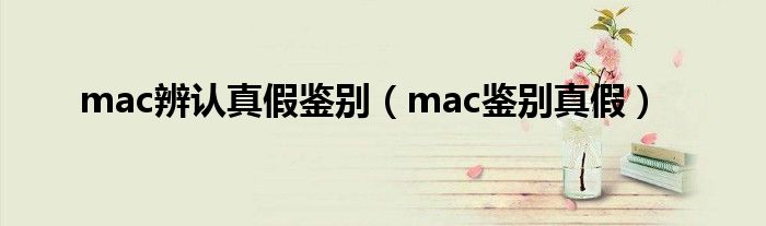 mac辨认真假鉴别（mac鉴别真假）