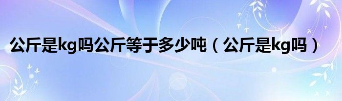 公斤是kg吗公斤等于多少吨（公斤是kg吗）