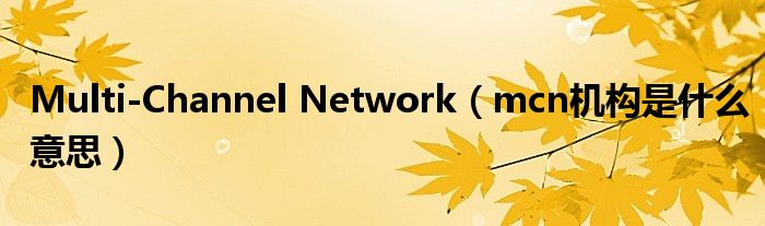 Multi-Channel Network（mcn机构是什么意思）