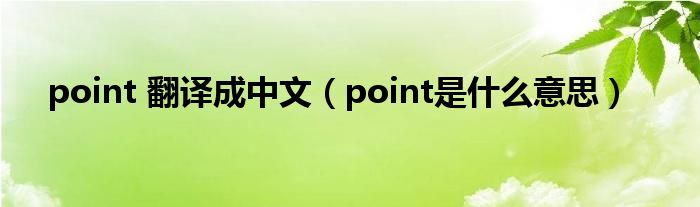 point 翻译成中文（point是什么意思）