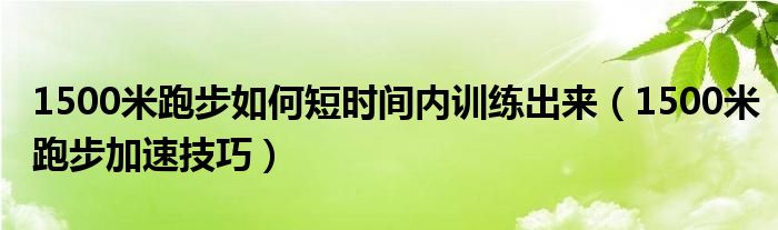 1500米跑步如何短时间内训练出来（1500米跑步加速技巧）