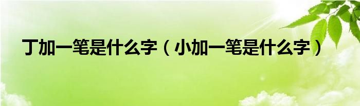 丁加一笔是什么字（小加一笔是什么字）