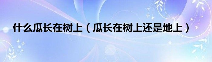 什么瓜长在树上（瓜长在树上还是地上）