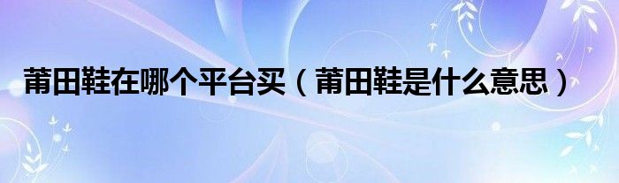 莆田鞋在哪个平台买（莆田鞋是什么意思）