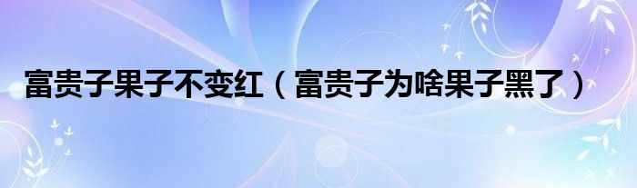 富贵子果子不变红（富贵子为啥果子黑了）