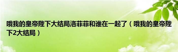 哦我的皇帝陛下大结局洛菲菲和谁在一起了（哦我的皇帝陛下2大结局）