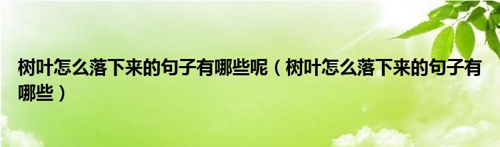 树叶怎么落下来的句子有哪些呢（树叶怎么落下来的句子有哪些）