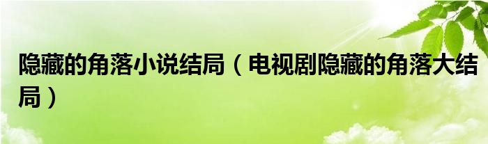 隐藏的角落小说结局（电视剧隐藏的角落大结局）