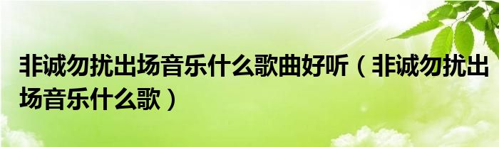 非诚勿扰出场音乐什么歌曲好听（非诚勿扰出场音乐什么歌）