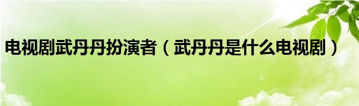 电视剧武丹丹扮演者（武丹丹是什么电视剧）