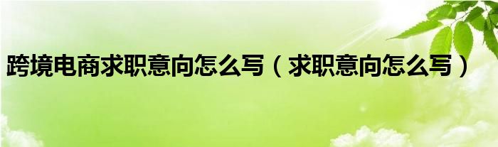 跨境电商求职意向怎么写（求职意向怎么写）