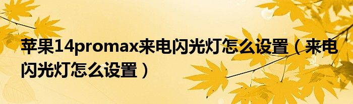 苹果14promax来电闪光灯怎么设置（来电闪光灯怎么设置）