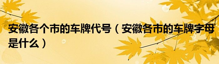 安徽各个市的车牌代号（安徽各市的车牌字母是什么）